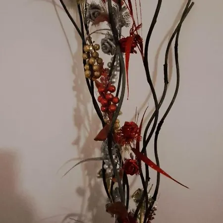 The Palm Casa vacanze *