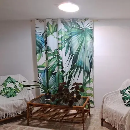 The Palm סיינט פול ביי