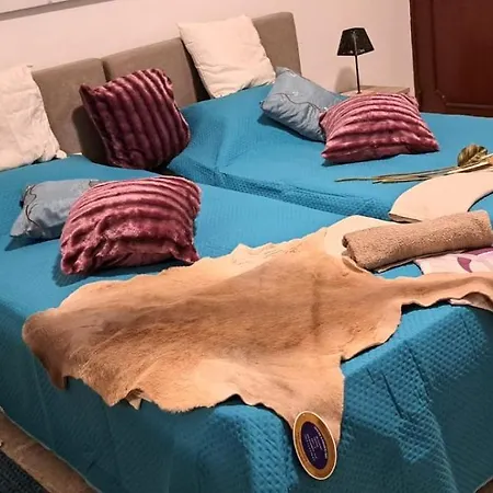 別荘 The Palm セント・ポールズ・ベイ