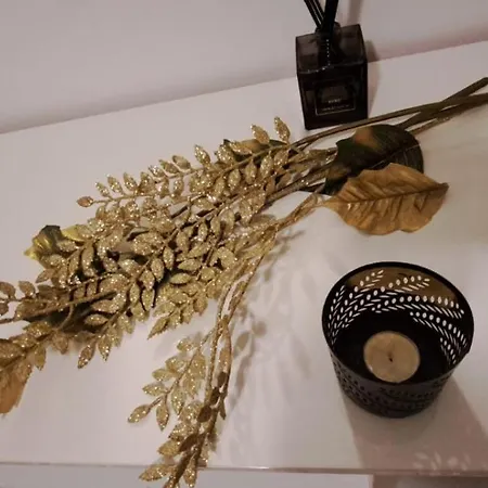 Vakantiehuis The Palm