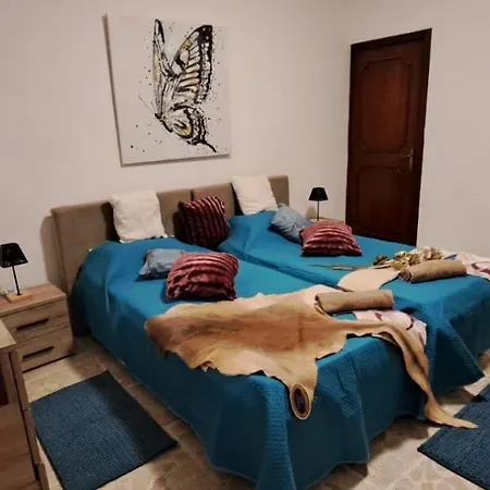 The Palm Vakantiehuis