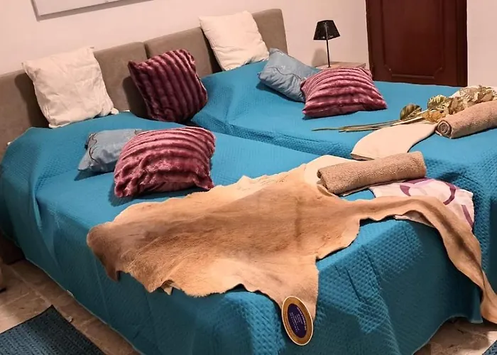 別荘 The Palm セント・ポールズ・ベイ