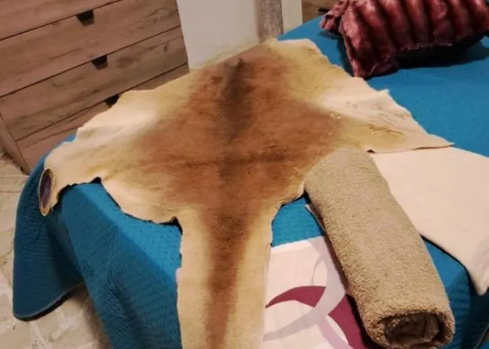 The Palm 別荘 セント・ポールズ・ベイ