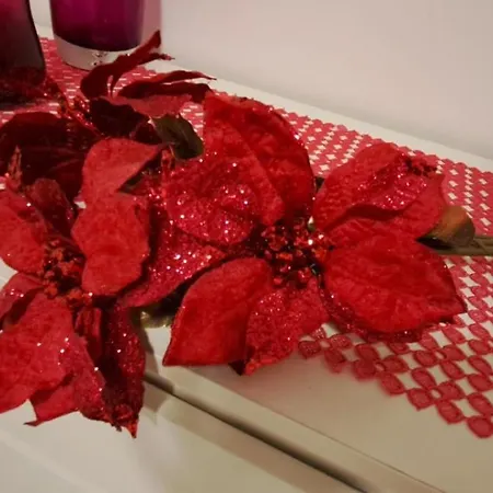 度假居 The Palm 圣保罗湾城